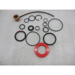 BLOW NOZZLE SEAL KIT - 01995256801-BG